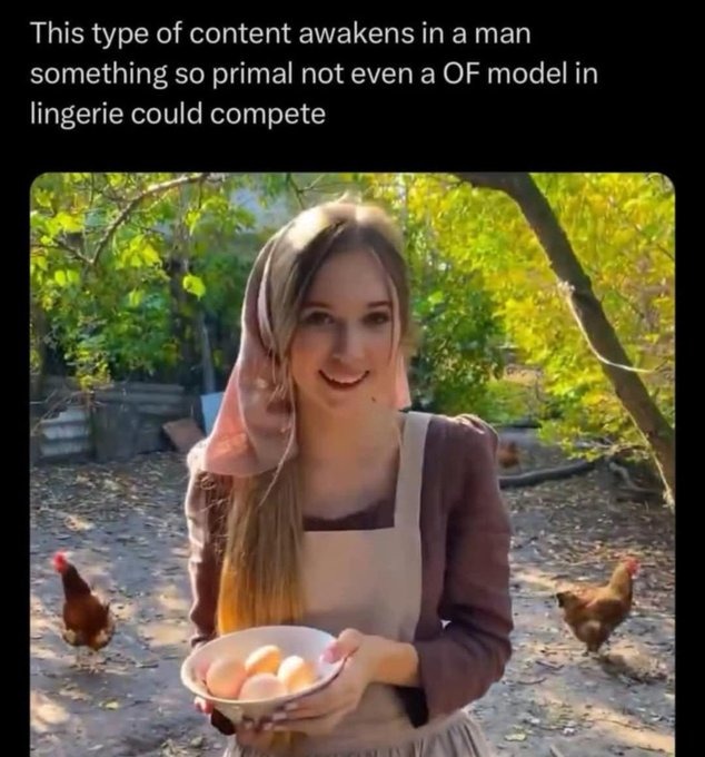 The feminist mind can't comprehend - meme